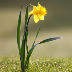 Meet your Posher, Nafeezath